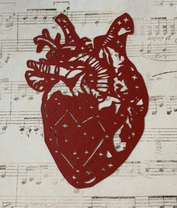 Anatomical heart with stars/constellation - floating paper cut