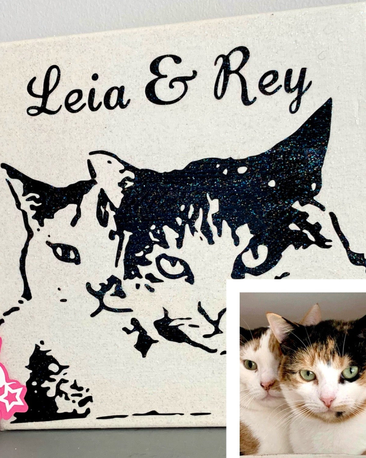 Canvas print with black cat silhouette and 'Leia & Rey' text, alongside a photo of two cats.