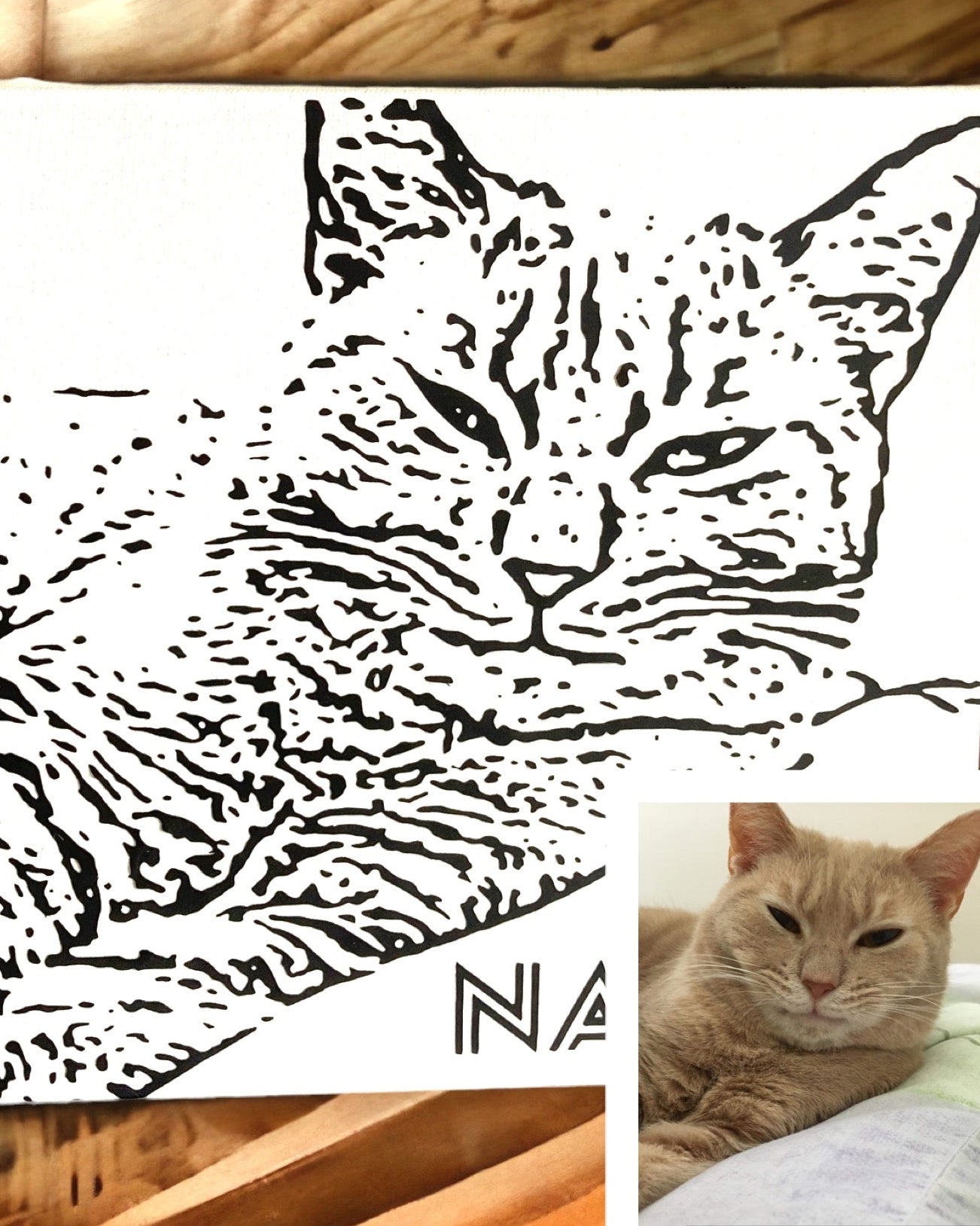 Collage of a black and white cat illustration, a photo of a real cat, and a wooden surface.