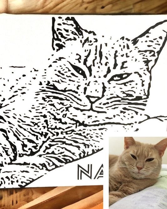 Collage of a black and white cat illustration, a photo of a real cat, and a wooden surface.