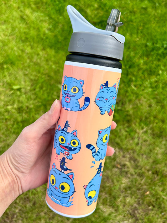 Derpy 750ml water bottle