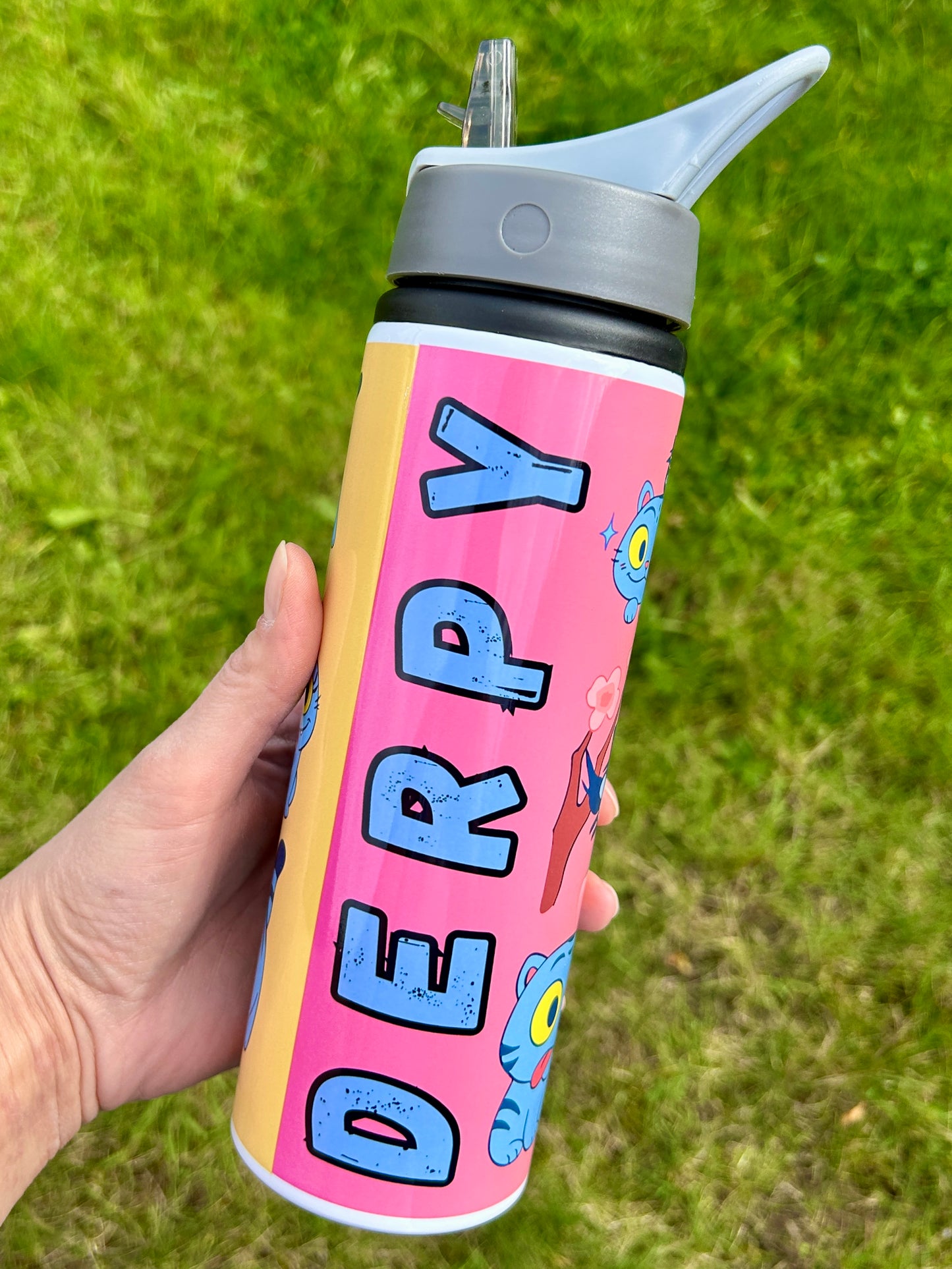 Derpy 750ml water bottle