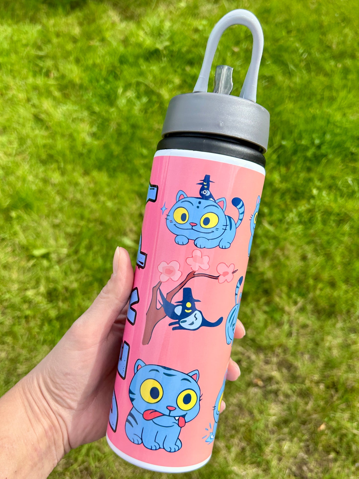 Derpy 750ml water bottle